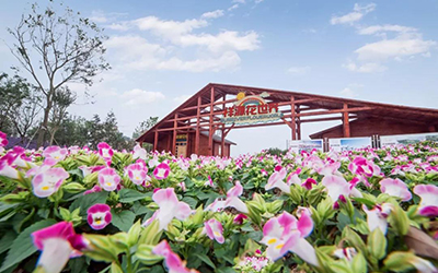 永信贵宾会·217(中国区)官方网站