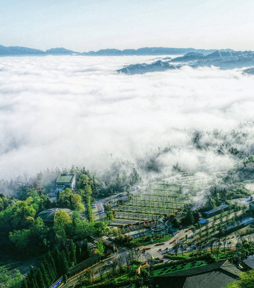 永信贵宾会·217(中国区)官方网站